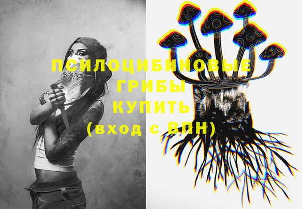 шишки Покров