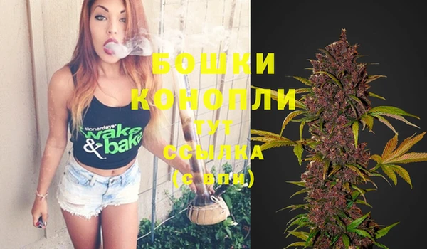 амф Покачи